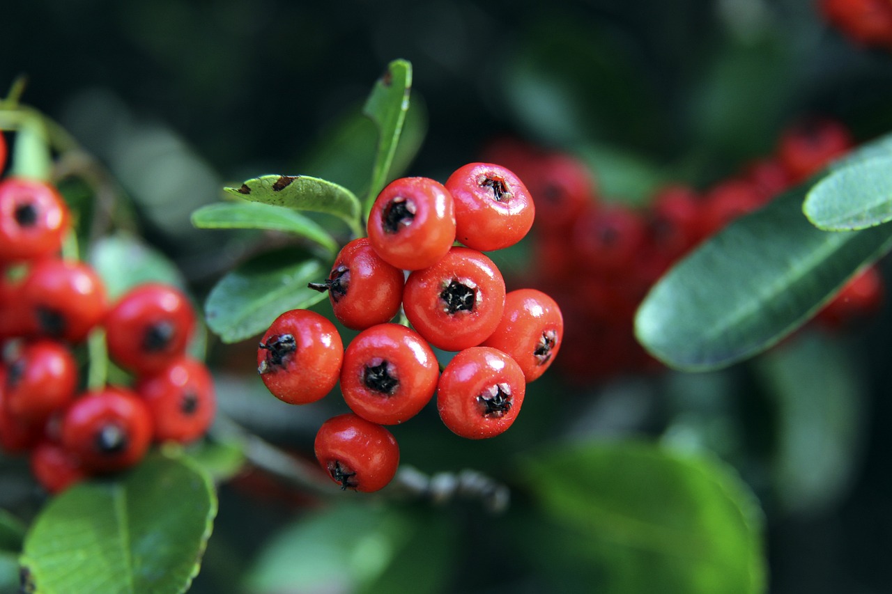 中超土帅成绩：韩鹏半程接手拿第5，曲刚半程接手未能保级