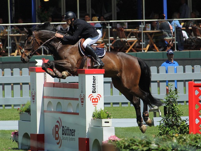 越老越妖！朱婷16分单场MVP！科内欧冠2连胜，第4座世俱杯稳了！