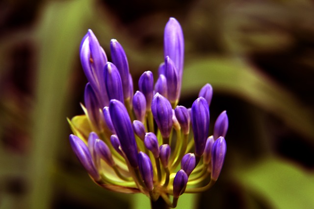 北伦敦德比还能上吗？加布里埃尔在比赛中疑似腹股沟受伤被替换下场