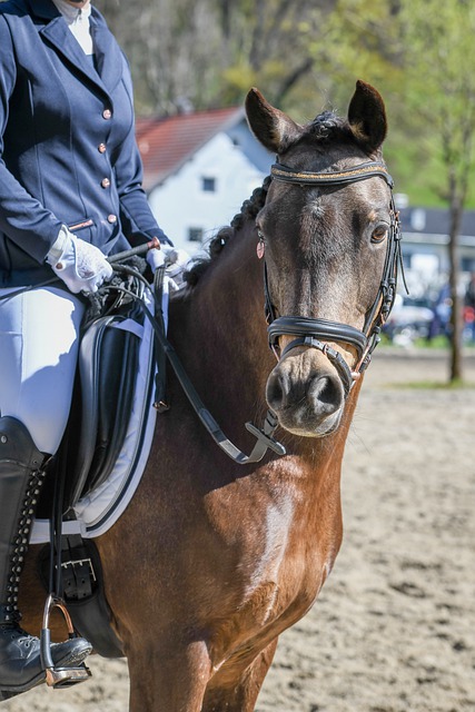 广东3消息！杜锋难得开窍，陈家政最新伤情，崔永熙复出时间更新